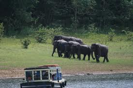 Kerala Tours 2019-2020